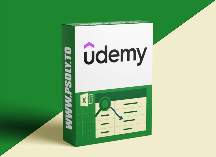 Udemy – Deep Dive into Lookup Functions in Excel 1 Deep Dive into Lookup Functions in Excel