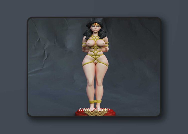 Exclusive – Wonder Woman – 3D Print 1 Exclusive – Wonder Woman – 3D Print