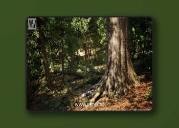 MW Broadleaf Forest Trees Biome v4.1.1 (5.6)