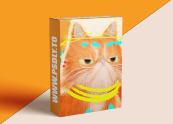 Projprod – Control Rig & Fur Groom