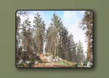 Rocky Pine Forest (4.26 – 4.27 and 5.0 – 5.6)