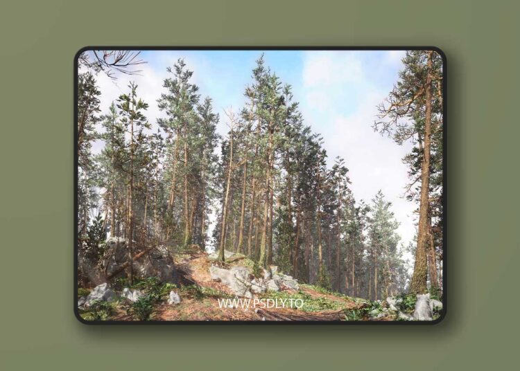 Rocky Pine Forest (4.26 – 4.27 and 5.0 – 5.6) for Unreal Engine 1 Rocky Pine Forest (4.26 – 4.27 and 5.0 – 5.6)