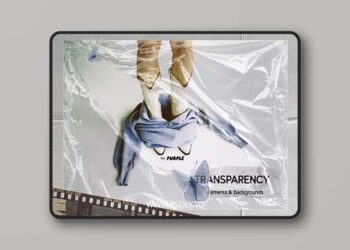 TRANSPARENCY | collage