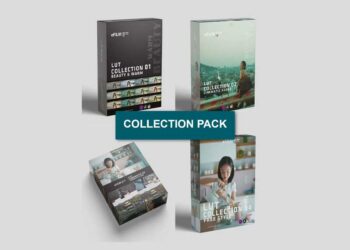 Colorwheelstore - Combo – LUT Collection Pack