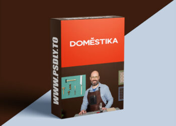 Domestika - Kumiko: Learn Japanese Woodworking Design