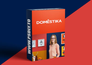 Domestika - Zodiac Illustration: Creating A Unique Series