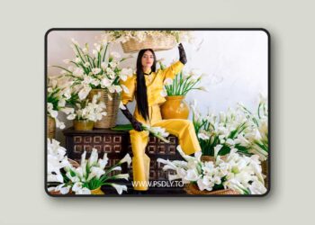 Dvlop JONAS PETERSON Lightroom ACR Presets