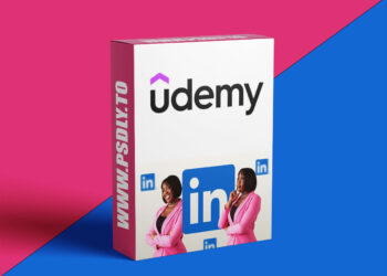 LinkedIn for Beginners Who Want to Be Seen, Heard & Paid