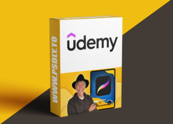 Procreate for Marketing & Merch: From Beginner to Portfolio