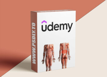 Strengthen Your Lower back muscles: Support Bed performance