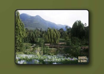 Willow Lake Biome Environment (5.3 – 5.6)