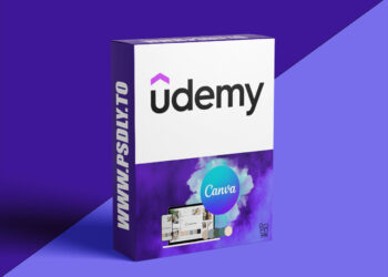 Build Your Complete Brand Identity Step-by-Step with Canva