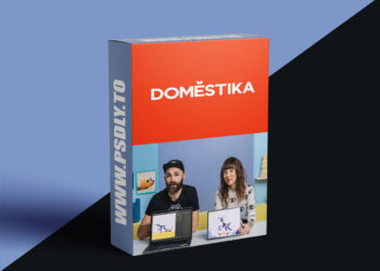 Domestika - Loop Animation with Mixed Illustration Techniques