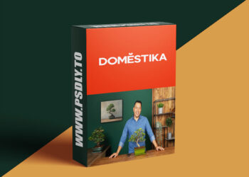 Mastering the Art of Bonsai: Growing and Shaping Techniques