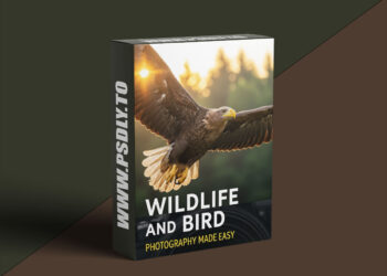 Wildlife and Bird Photography Made Easy