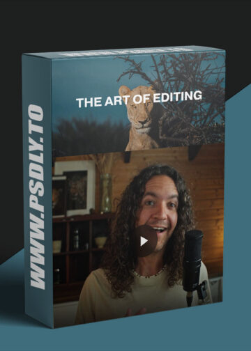 Donal Boyd The Art of Editing