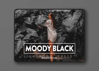 FilterGrade 10 Moody Black Lightroom Preset