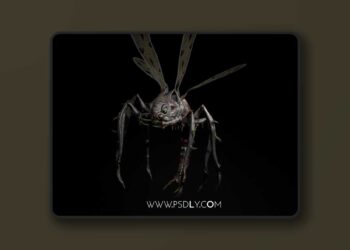 Dangerous Fly (4.20 – 4.27 and 5.0 – 5.4)