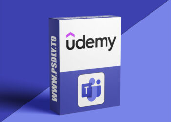 Microsoft Teams: Microsoft Teams for Workplace Professional