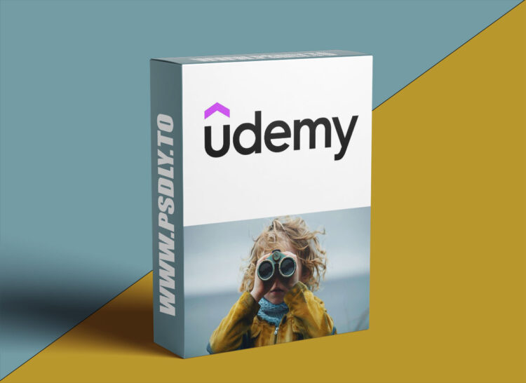 Udemy – Nonprofit Mission, Vision & Values Development Course 1 Nonprofit Mission, Vision & Values Development Course