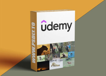 The Ultimate Beginners Guide to Wildlife Photography