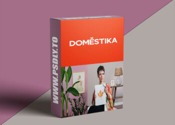 ‌Illustration of Natural Elements in Watercolor