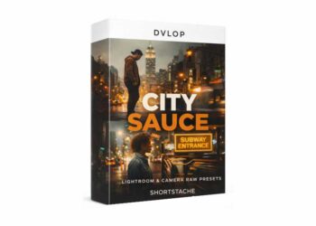 DVLOP Shortstache City Sauce Presets