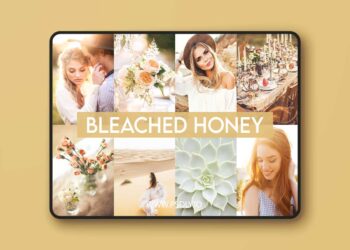 Greater Than Gatsby Bleached Honey Preset Collection