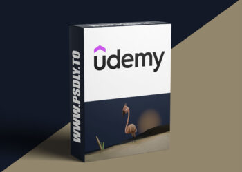 Full Character Modeling in Blender Course – Stylized Bird