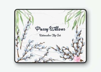 Pussy willow Watercolor clipart