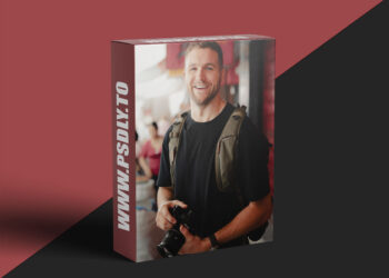 Sean Dalton - Perfect Pitches