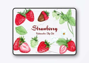 Strawberry Watercolor Clipart