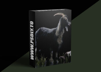 The Gnomon Workshop – Vellum Hair Simulation in Houdini