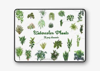 Watercolor Houseplants Clipart