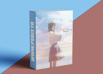 Coloso - From Workflow to Production: A Complete Guide to Anime Creation