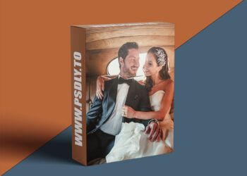 DVLOP - The Show Series by Susan Stripling Lightroom Presets and Profile