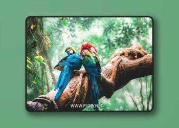 Exotic Trip Mobile Desktop Lightroom Presets