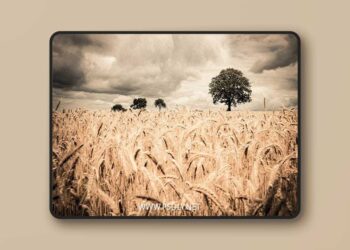 Grain It Up Mobile Desktop Lightroom Presets