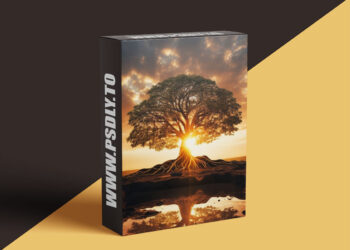 John Demartini – Clarify Your Purpose