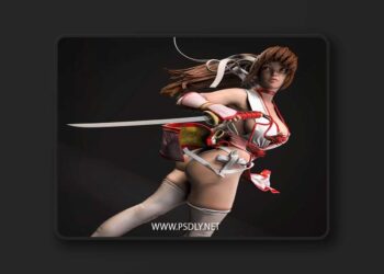 Kasumi Fan Art 3D print Model