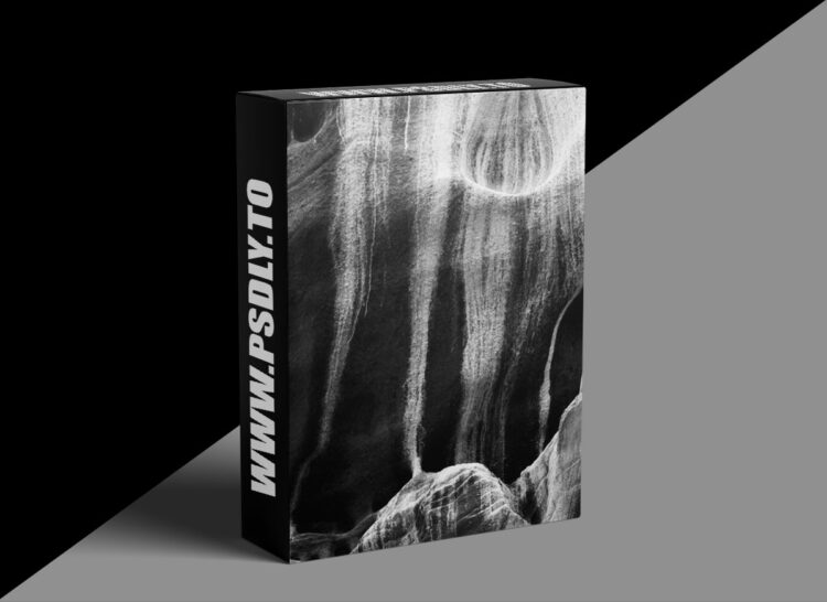 Nature Photographers Network - The Art of Seabird Photography 1 Nature Photographers Network - The Art of Seabird Photography